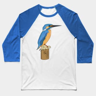 Kingfisher bird Baseball T-Shirt